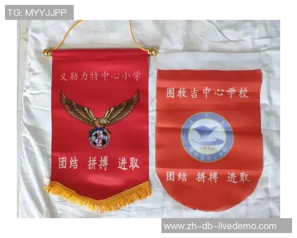 国家队足球服的设计理念与文化传承探讨 国家队足球服的设计理念与文化传承探讨